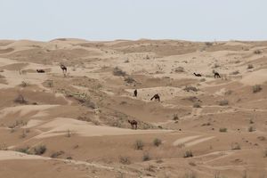 Kavir Wüste