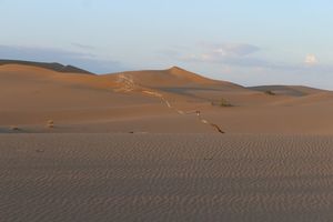Morgenstimmung in der Wüste