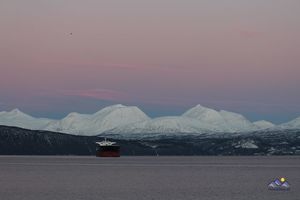 Rosa Himmel bei Narvik