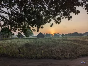 Sonnenaufgang unter dem Mangobaum