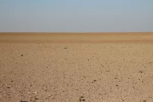 Die Farbschattierungen werden durch die Flechten verursacht