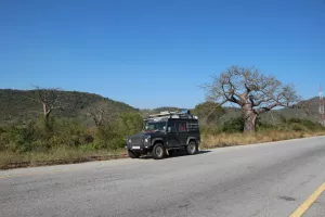 Baobab-Baum entlang der Straße