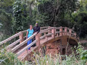 Im botanischen Garten