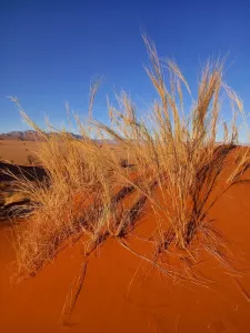 Kräftige Farben im Abendlicht