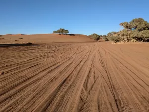 4WD-Strecke - keine große Hürde für unseren Ndovu