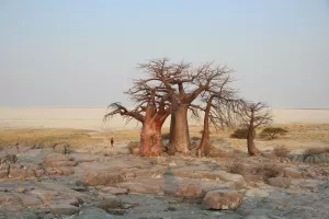 Spaziergang auf Lekhubu Island