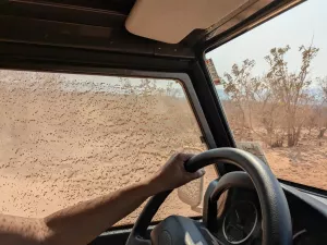 Der Staub bedeckt die Fenster und kriecht überall hinein