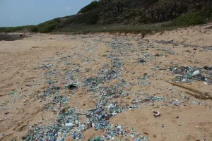 Nicht mehr so traumhafter Strand in der nächsten Bucht