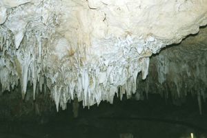 Kelly Hill Caves